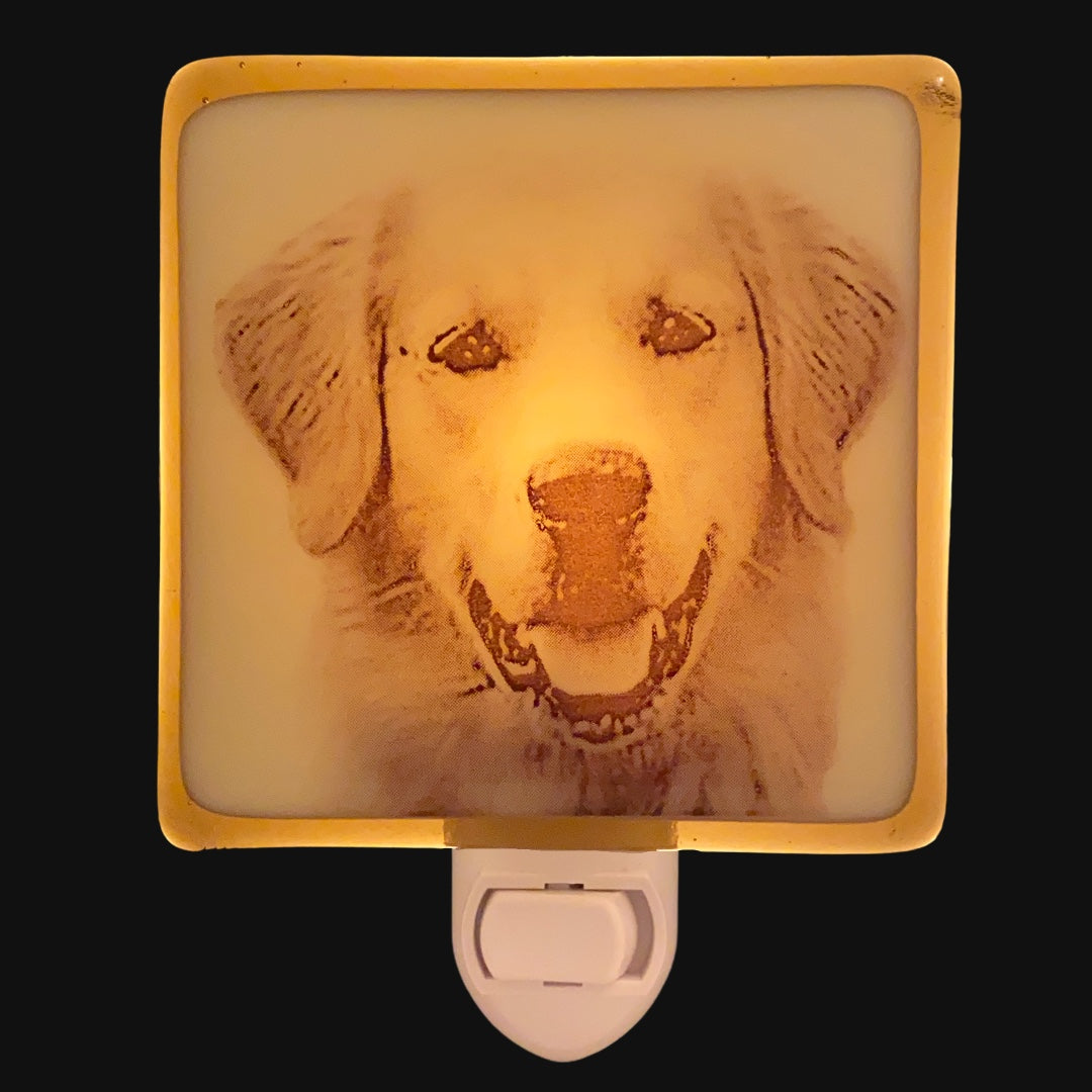 Golden Retriever Dog Night Light