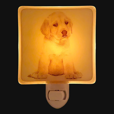 Golden Retriever Puppy Night Light