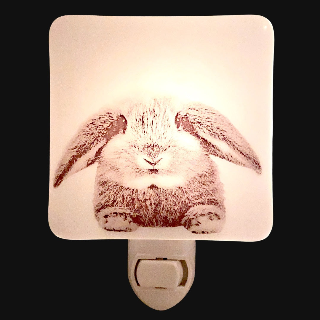 Floppy Eared Bunny Rabbit Night Light