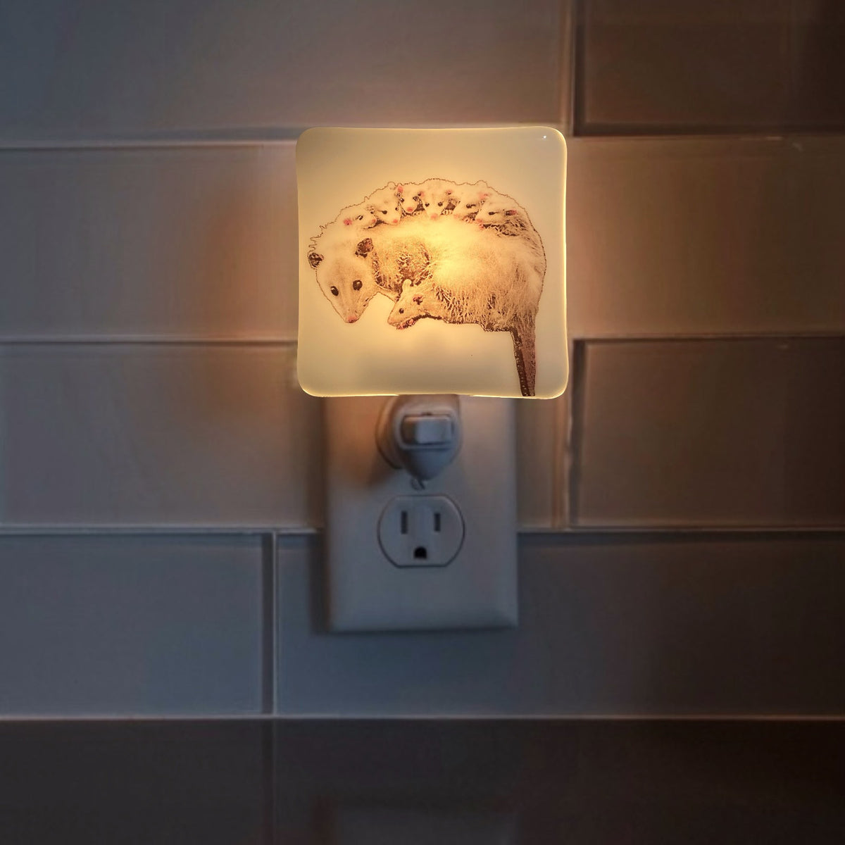 Possum Mommy and Babies Night Light