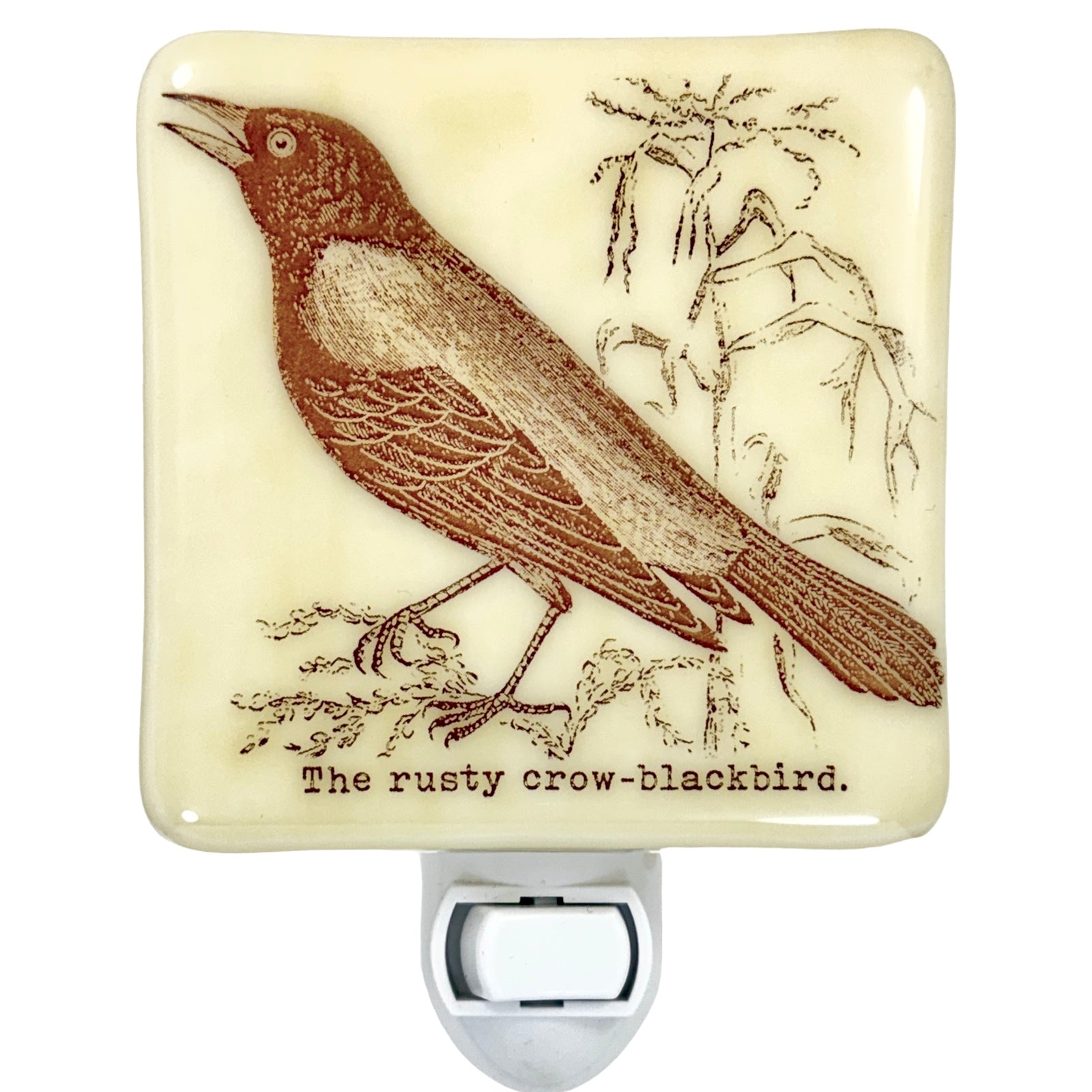 Blackbird Crow Raven Night Light