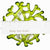 Coral Branch Bowl | Small Lime Green Transparent Glass
