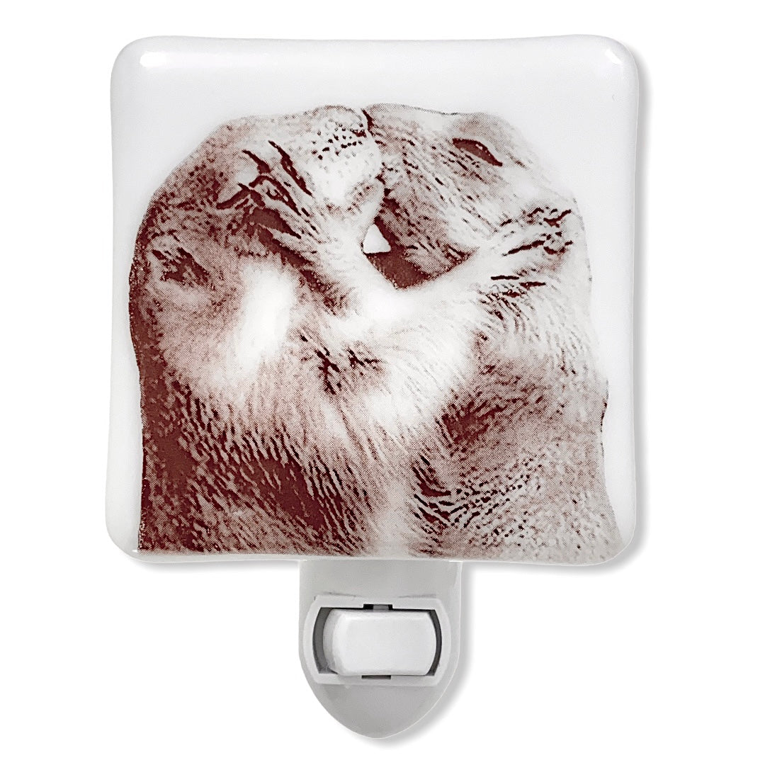 Prairie Dogs Kissing Night Light