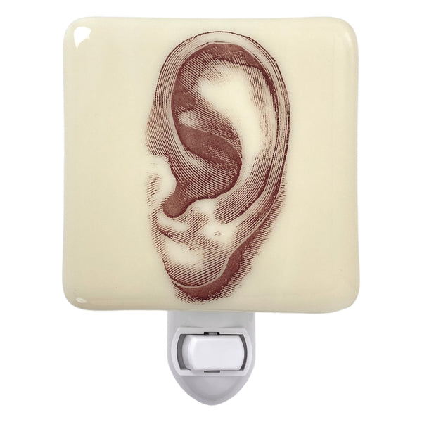 Anatomical Ear Night Light - Hunky Dory Studio