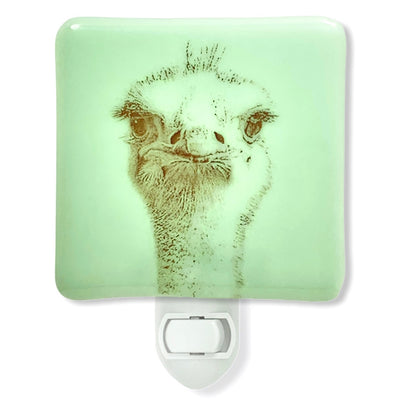 Ostrich Face Night Light