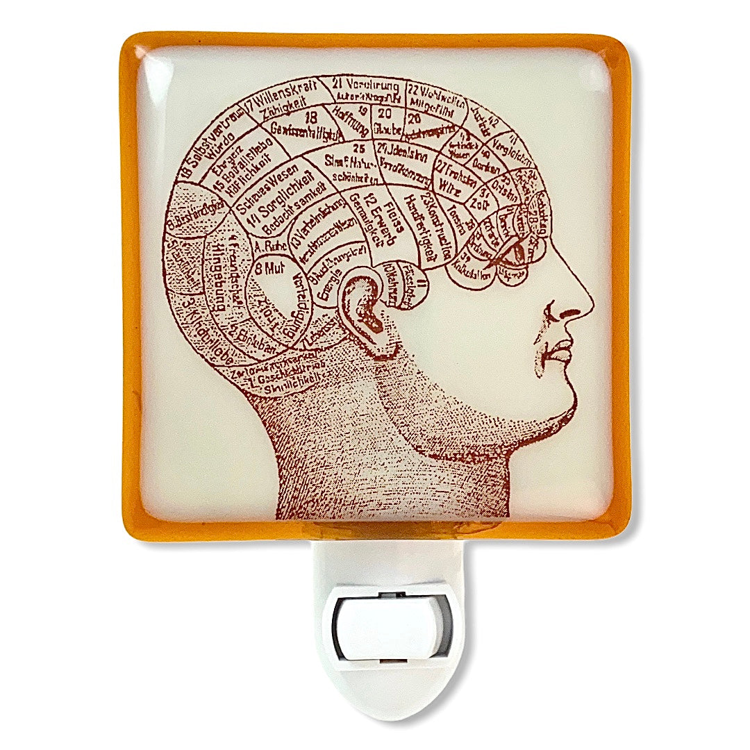 Phrenology Head Anatomy Night Light