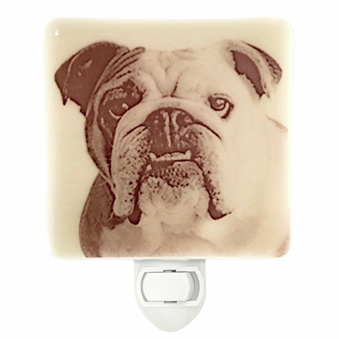 English Bulldog Night Light