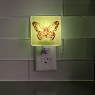 Vintage Butterfly Moth Sketch Night Light