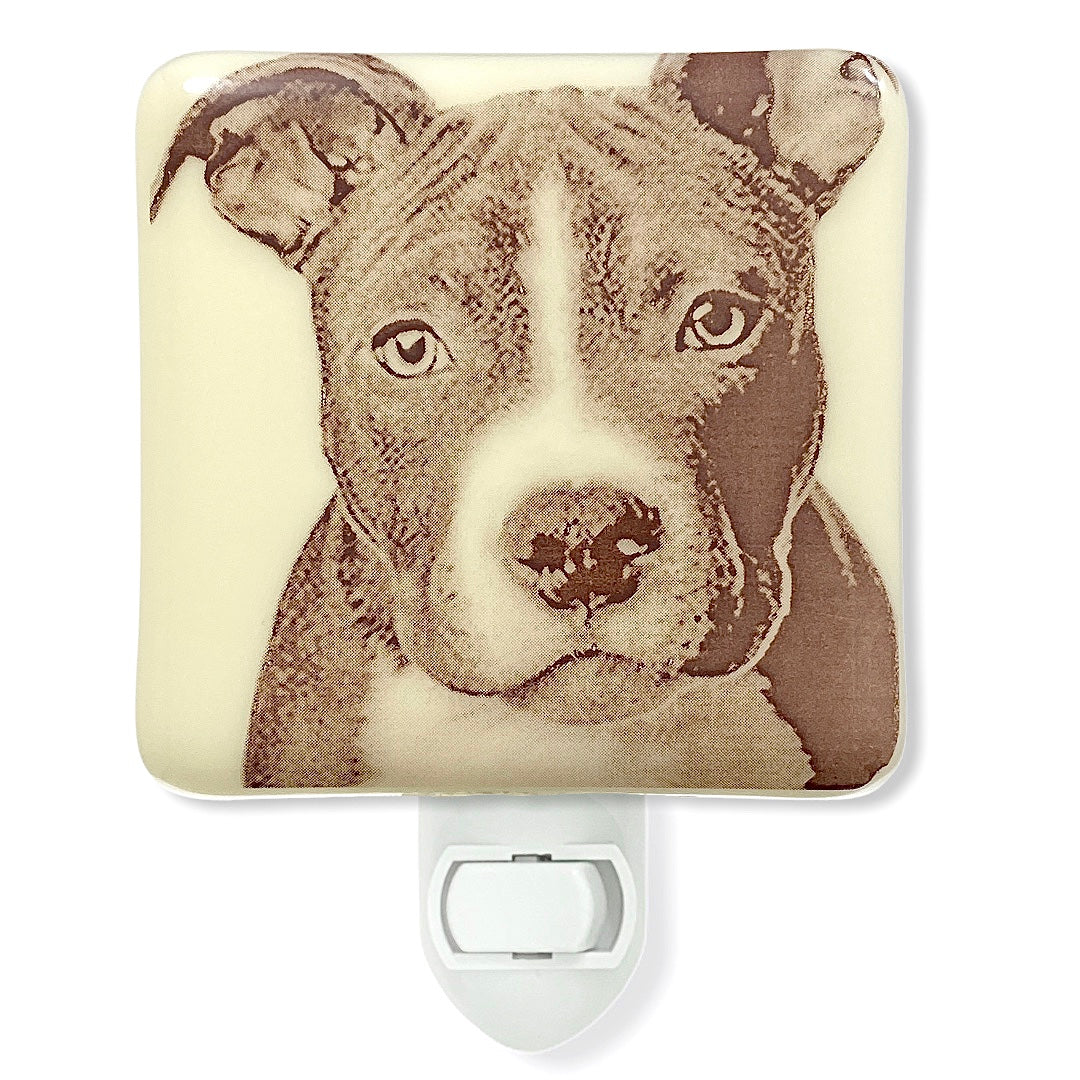 Pit Bull Night Light