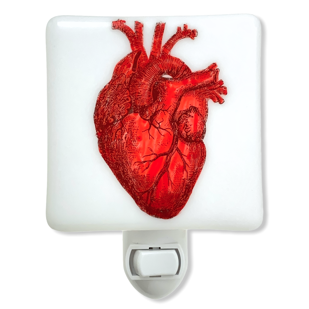 Anatomical Heart Night Light