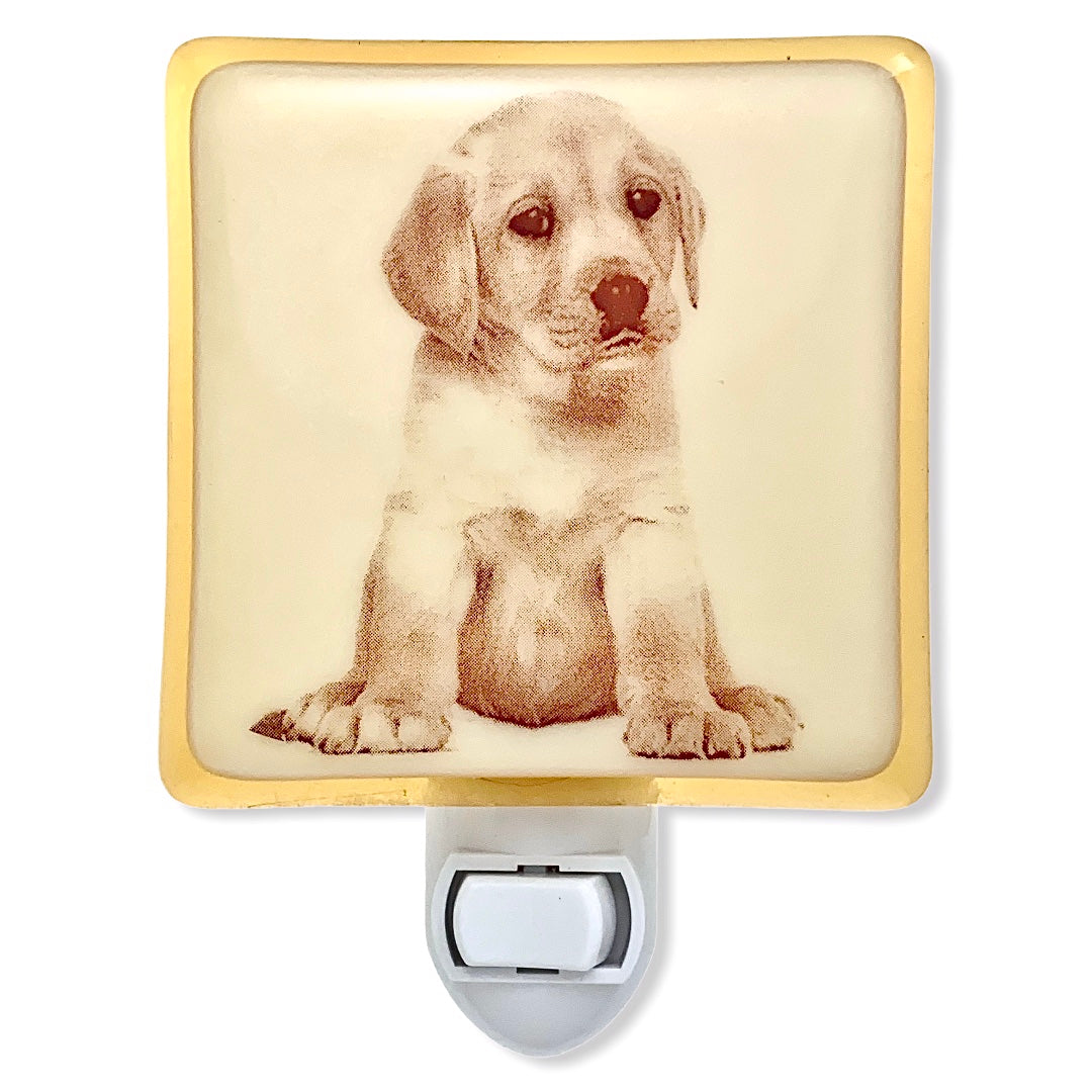 Golden Retriever Puppy Night Light