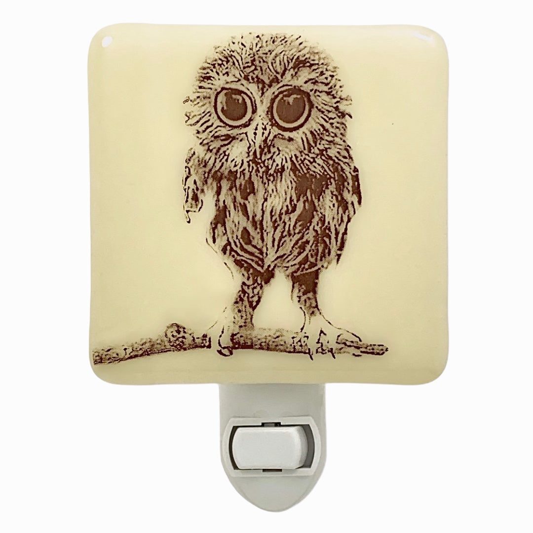 Owl Baby on Branch Night Light