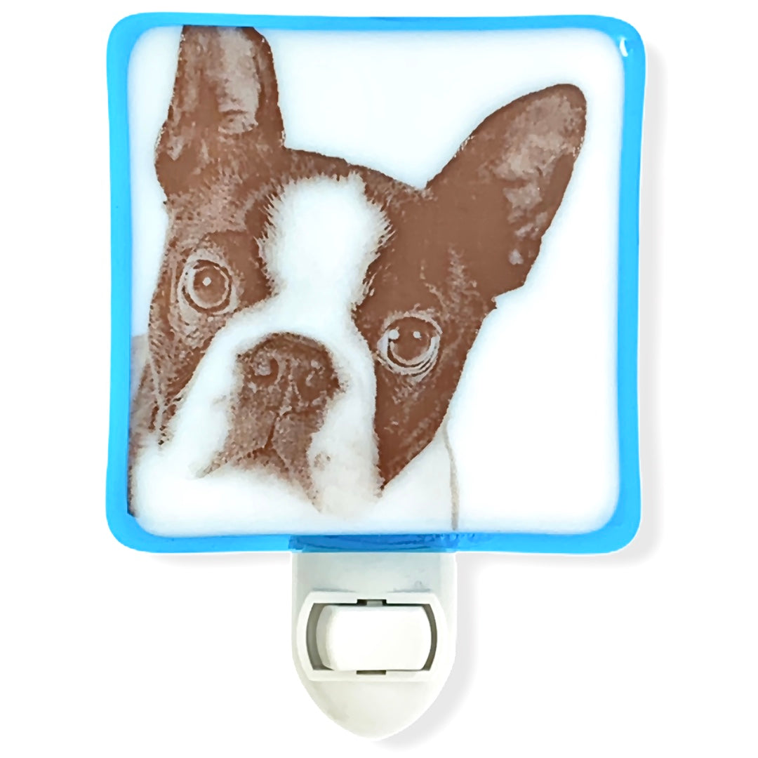 Boston Terrier Dog Face