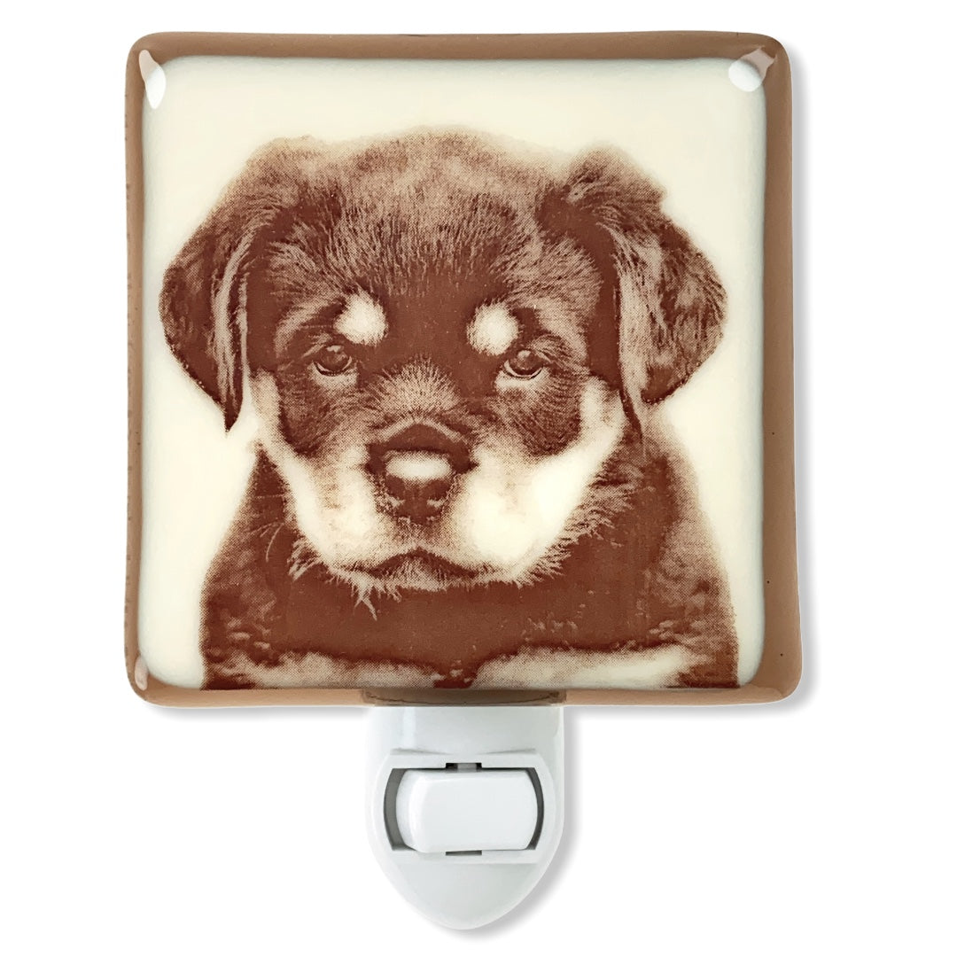 Rottweiler Puppy Night Light