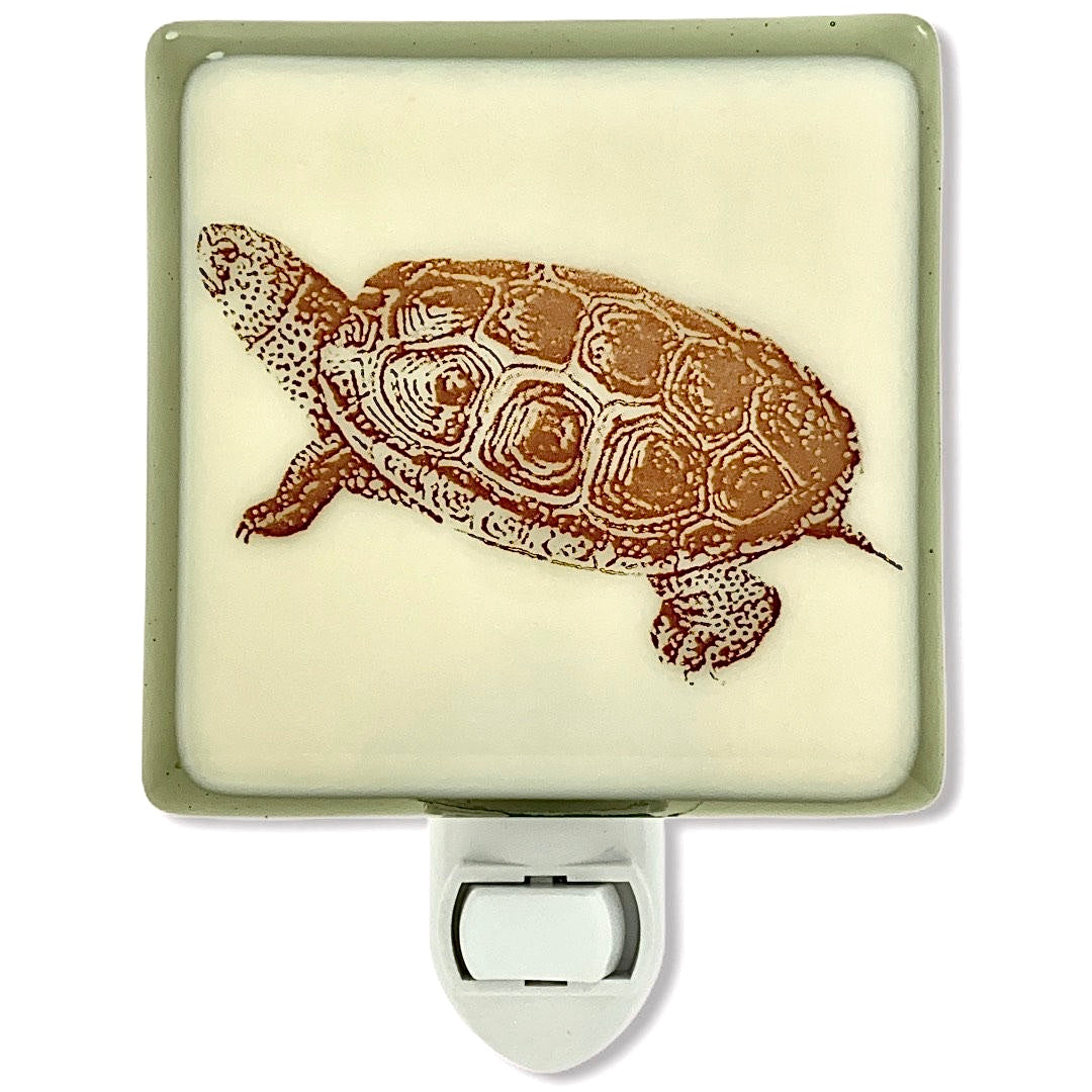 Turtle Night Light