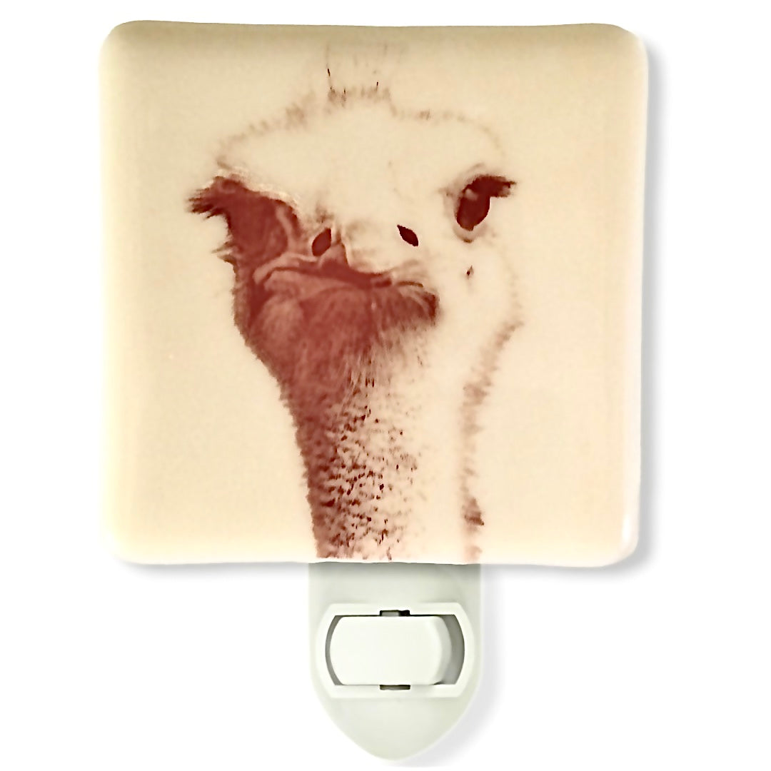 Ostrich Face Night Light