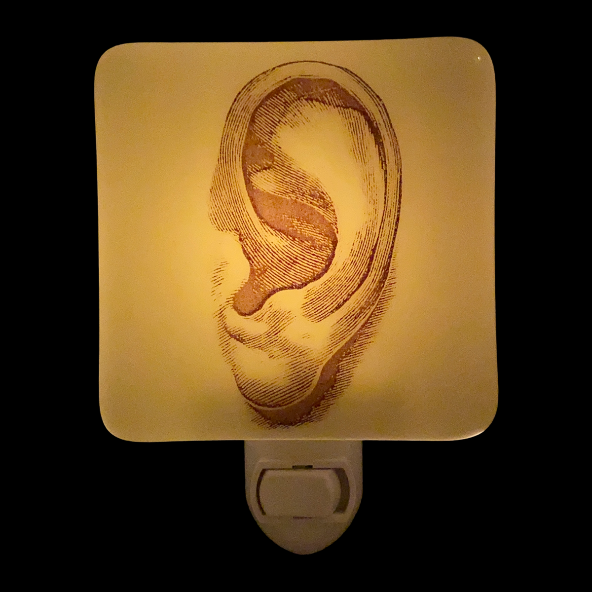 Anatomical Ear  Night Light