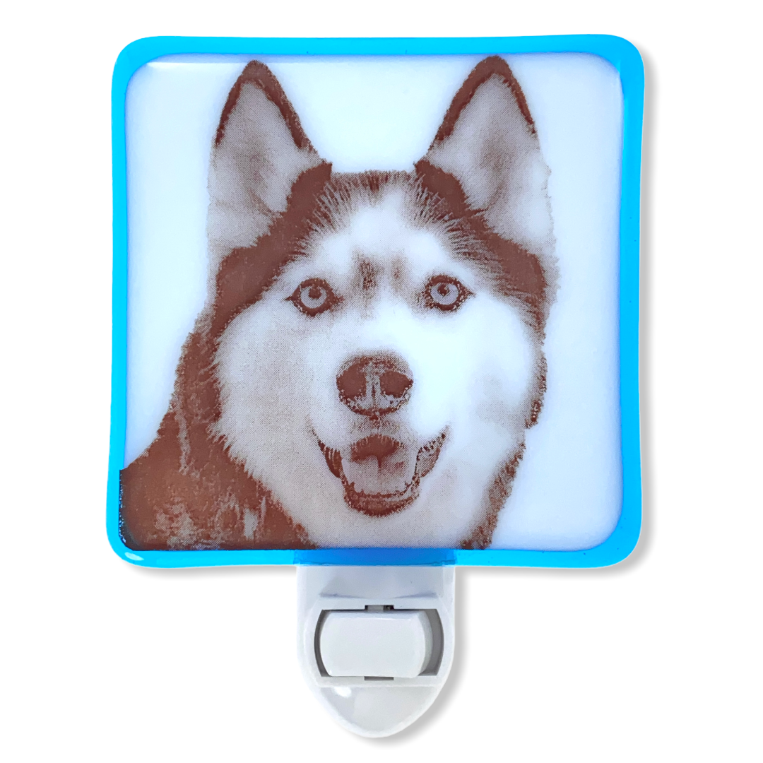 Siberian Husky Dog Night Light