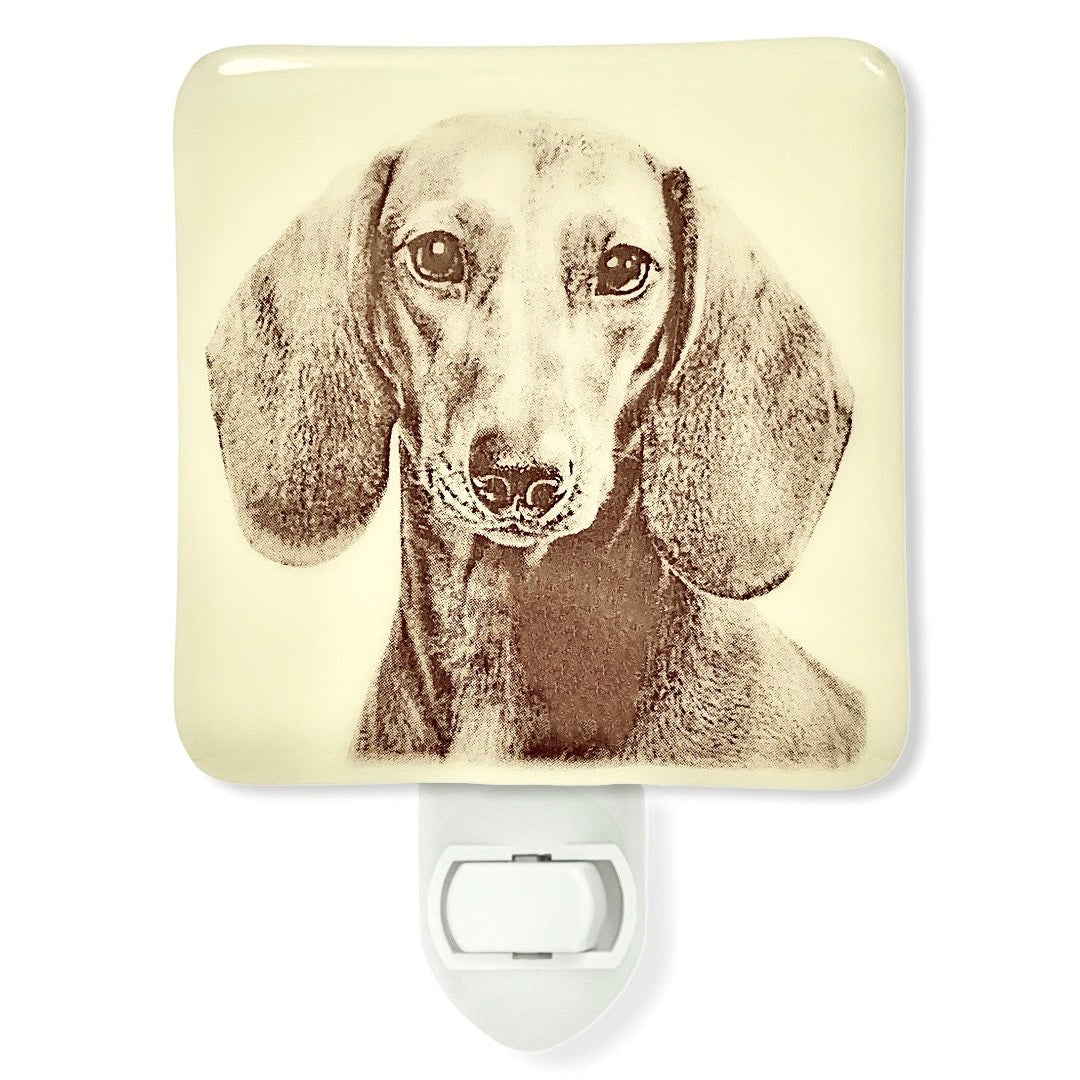 Dachshund 2025 night light