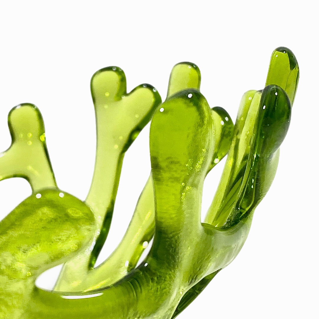 Coral Branch Bowl | Small Lime Green Transparent Glass