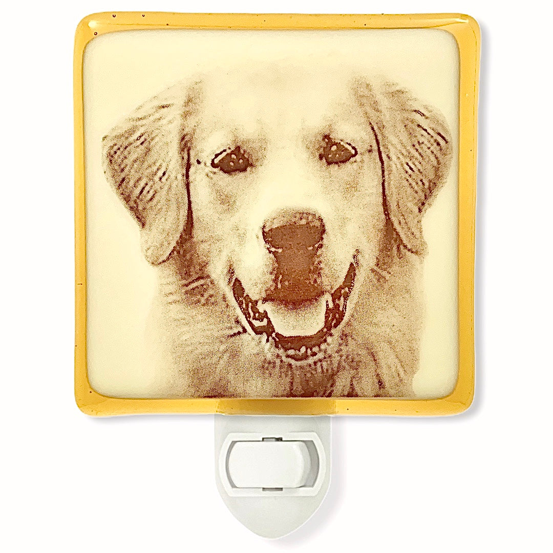Golden Retriever Dog Night Light