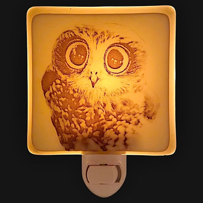 Owl Baby Night Light