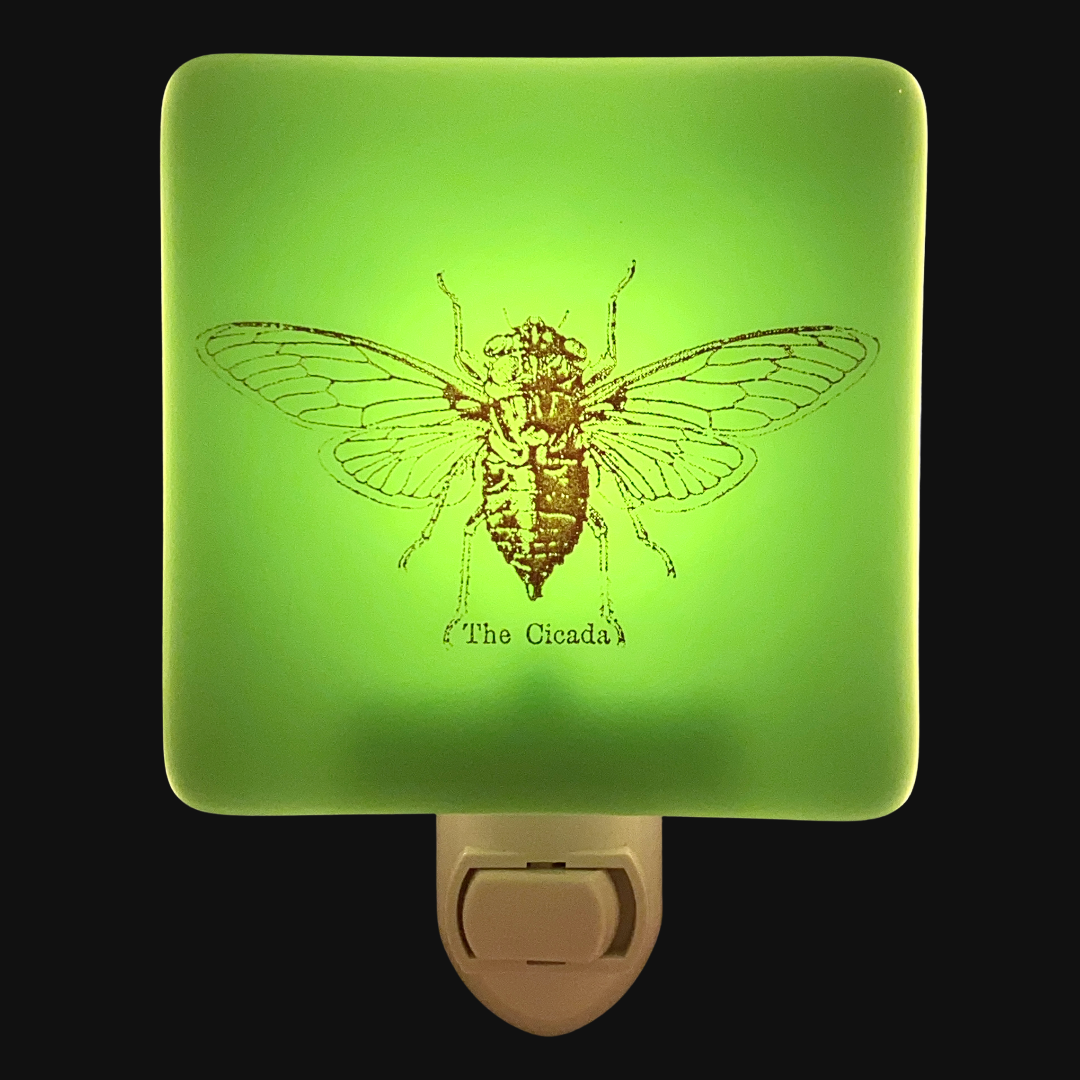 Vintage Cicada Night Light