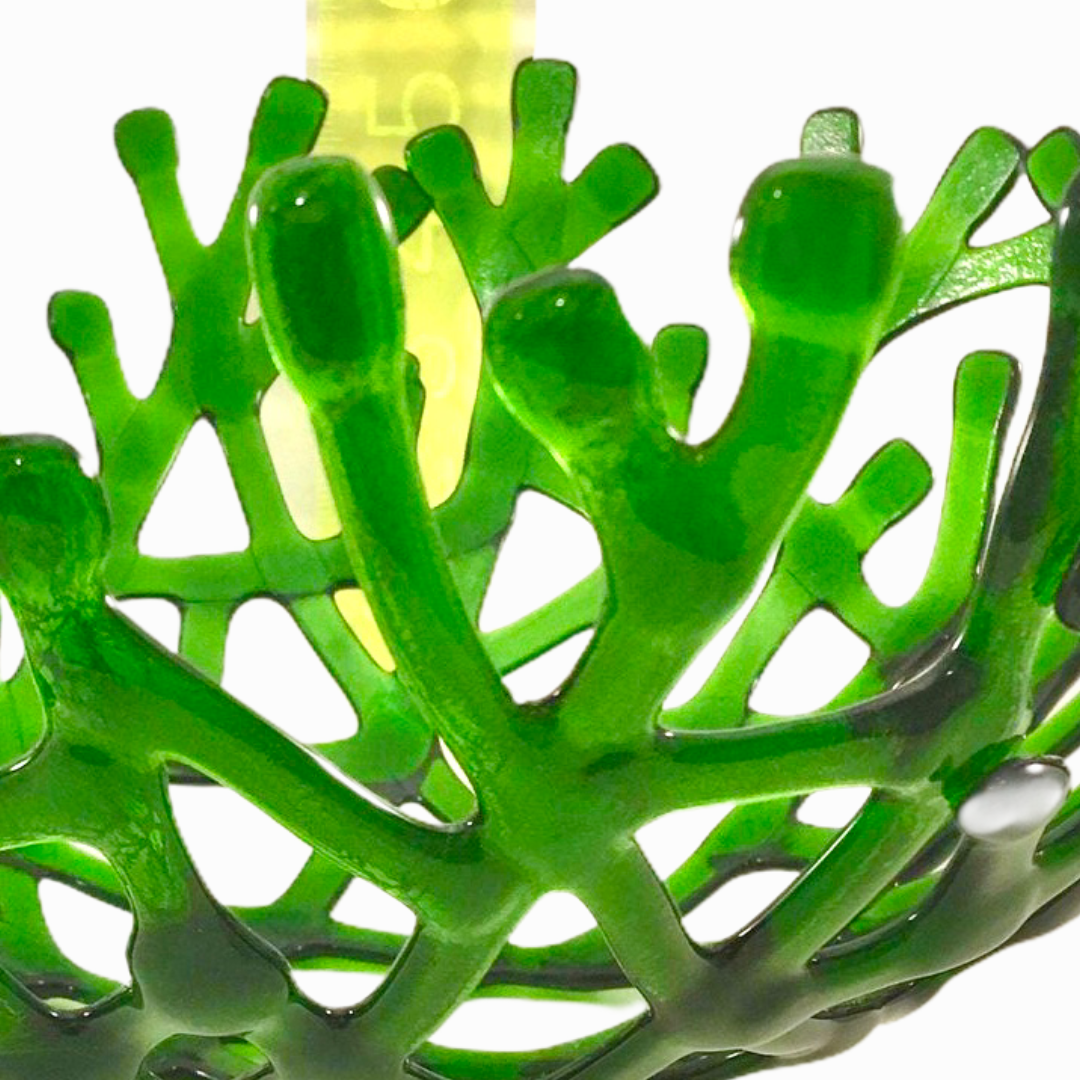 Coral Branch Bowl | Large Emerald Green Transparent  Glass