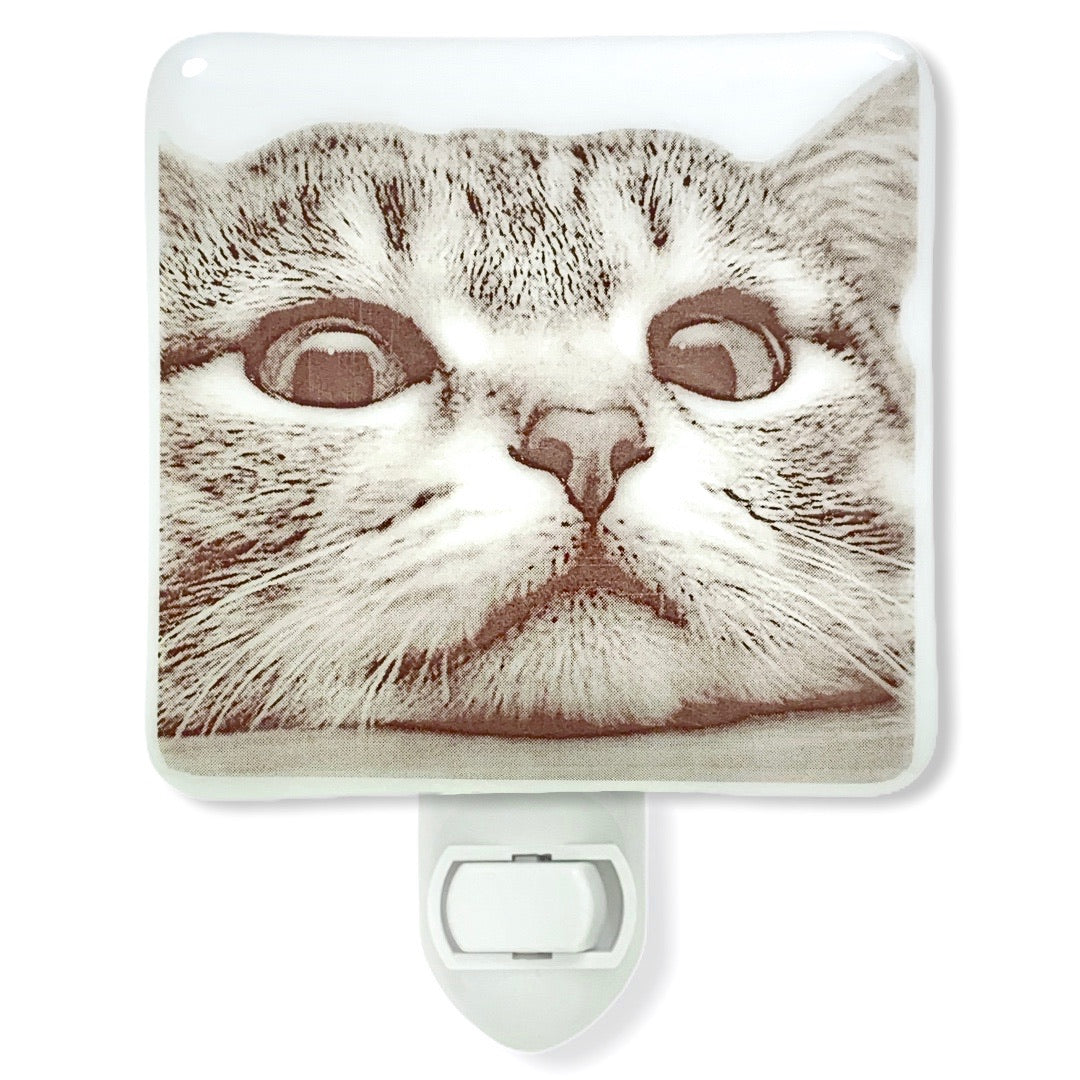 Cat Funny Face Night Light