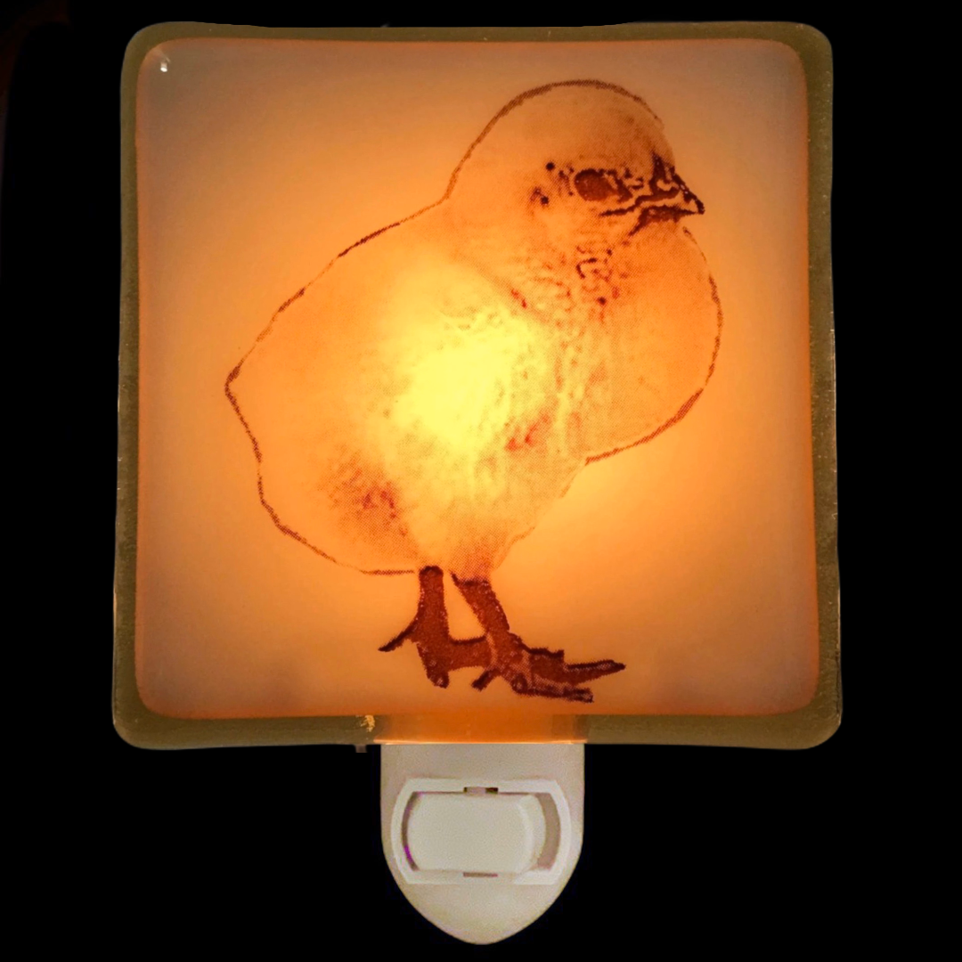Chick Baby Chicken Night Light