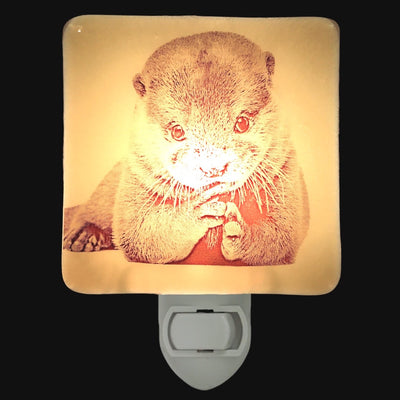 Otter Baby Eating Night Light